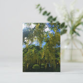 Yellow Wisteria Briefkaart (Staand voorkant)