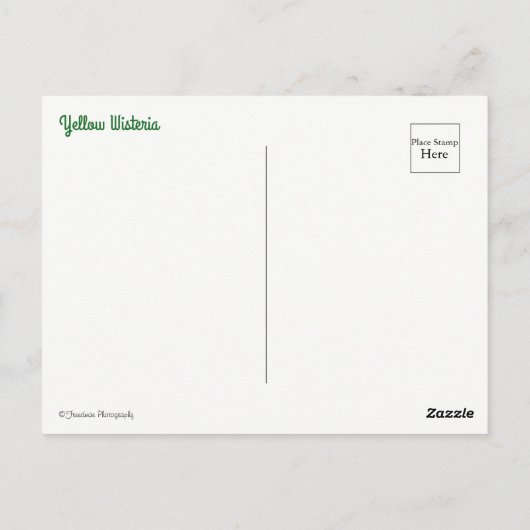 Yellow Wisteria Briefkaart (Achterkant)