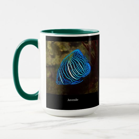 Yellowbar angelfish mok (Links)