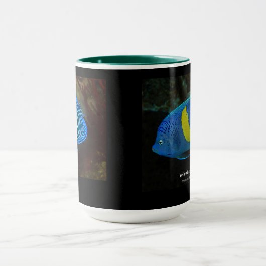 Yellowbar angelfish mok (Midden)