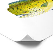 Yellowfin Tuna en Saltwater Dorado Poster (Hoek)