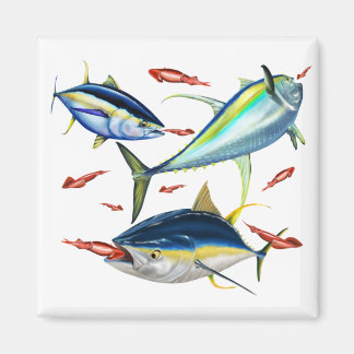 Yellowfin Tunas jagende inktvis Magneet