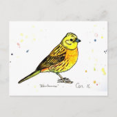 Yellowhammervogel Briefkaart (Voorkant)