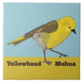Yellowhead Mohua Tegeltje (Voorkant)