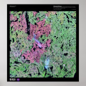 Yellowmes Wetlands Poster (Voorkant)