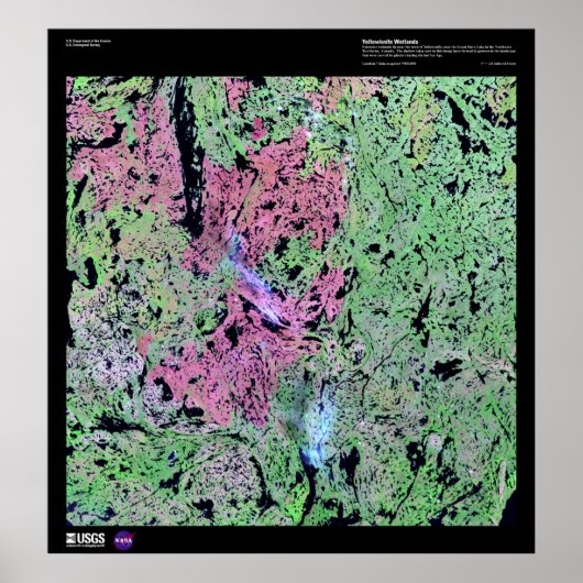 Yellowmes Wetlands Poster (Voorkant)