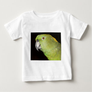 Yellownape Amazon