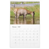 Yellowstone A Zeer speciale plaats Kalender (Feb 2027)