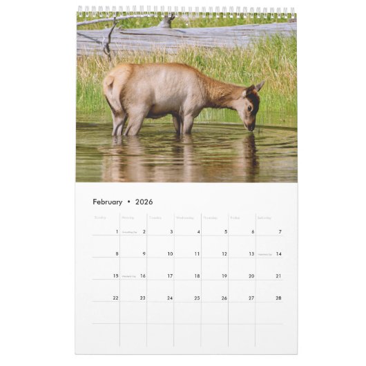 Yellowstone A Zeer speciale plaats Kalender (Feb 2026)