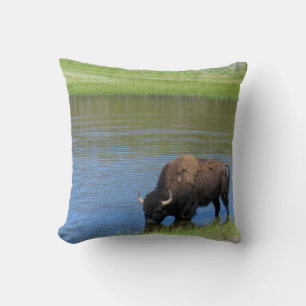Yellowstone American Bison in Pond Kussen