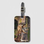 Yellowstone Bagagelabel-Deer & Baby Fawn Bagagelabel (Voorkant (verticaal))