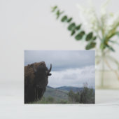 Yellowstone Bewaker Briefkaart (Staand voorkant)