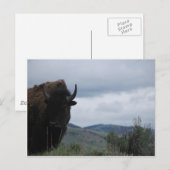 Yellowstone Bewaker Briefkaart (Voorkant / Achterkant)