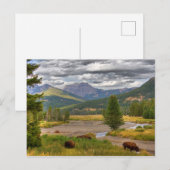 Yellowstone Bison Briefkaart (Voorkant / Achterkant)