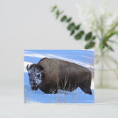 Yellowstone Bison Briefkaart (Staand voorkant)
