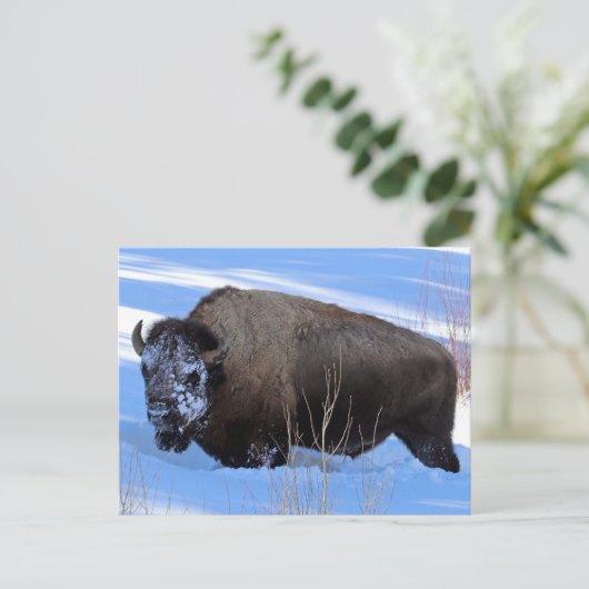 Yellowstone Bison Briefkaart (Staand voorkant)