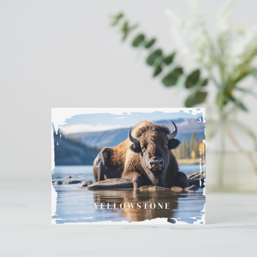 Yellowstone Bison-Briefkaart Briefkaart (Staand voorkant)