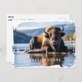 Yellowstone Bison-Briefkaart Briefkaart (Voorkant / Achterkant)