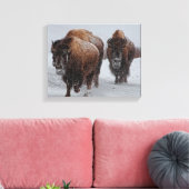 Yellowstone Bison Canvas Afdruk (Insitu (Woonkamer))