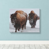 Yellowstone Bison Canvas Afdruk (Insitu (Houten vloer))