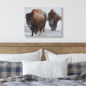 Yellowstone Bison Canvas Afdruk (Insitu (Slaapkamer))