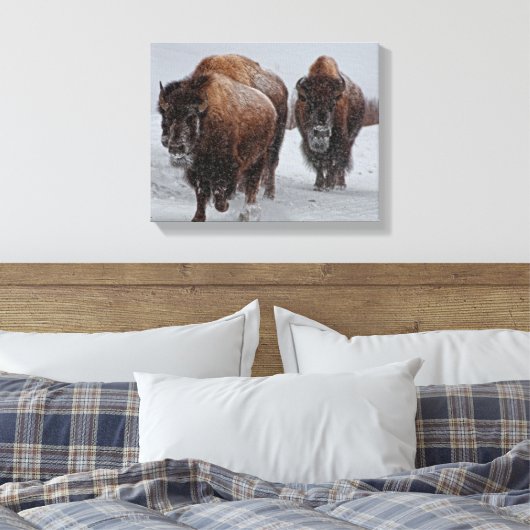 Yellowstone Bison Canvas Afdruk (Insitu (Slaapkamer))