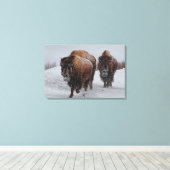 Yellowstone Bison Canvas Afdruk (Insitu (Houten vloer))