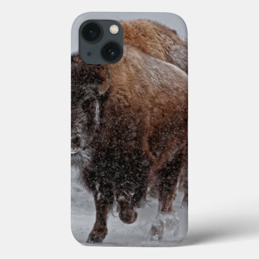 Yellowstone Bison Case-Mate iPhone Case (Achterkant)