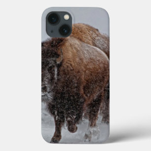 Yellowstone Bison iPhone 13 Hoesje