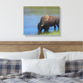 Yellowstone Bison Drink het meer Canvas Afdruk (Insitu (Slaapkamer))