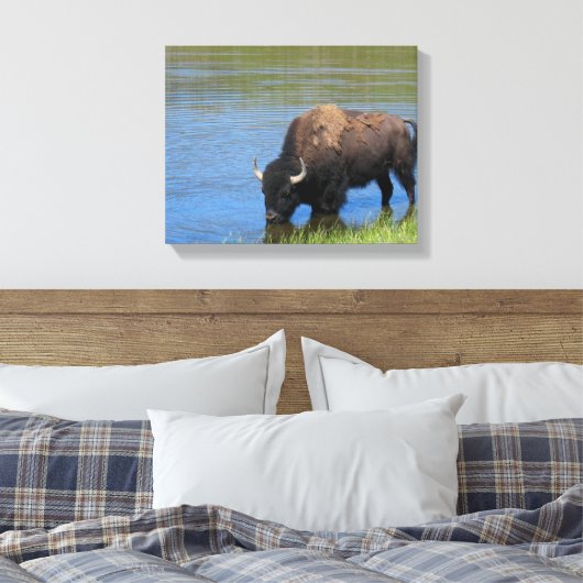 Yellowstone Bison Drink het meer Canvas Afdruk (Insitu (Slaapkamer))