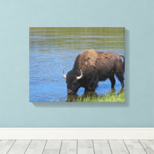 Yellowstone Bison Drink het meer Canvas Afdruk (Insitu (Houten vloer))