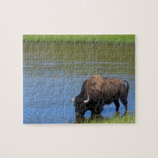 Yellowstone Bison Drink het meer Legpuzzel (Horizontaal)