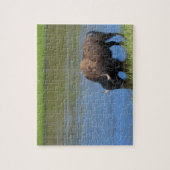 Yellowstone Bison Drink het meer Legpuzzel (Verticaal)