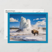 Yellowstone Bison & Geyser Briefkaart (Voorkant / Achterkant)