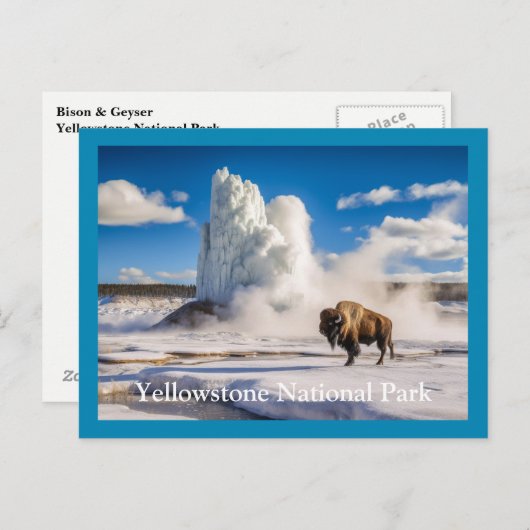Yellowstone Bison & Geyser Briefkaart (Voorkant / Achterkant)