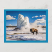 Yellowstone Bison & Geyser Briefkaart (Voorkant)