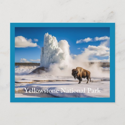 Yellowstone Bison & Geyser Briefkaart (Voorkant)