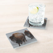 Yellowstone Bison Glazen Onderzetter (Schuin)
