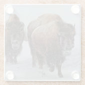 Yellowstone Bison Glazen Onderzetter (Achterkant)