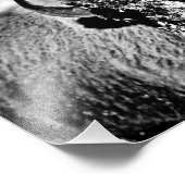 Yellowstone Bison in de winter Foto Afdruk (Hoek)