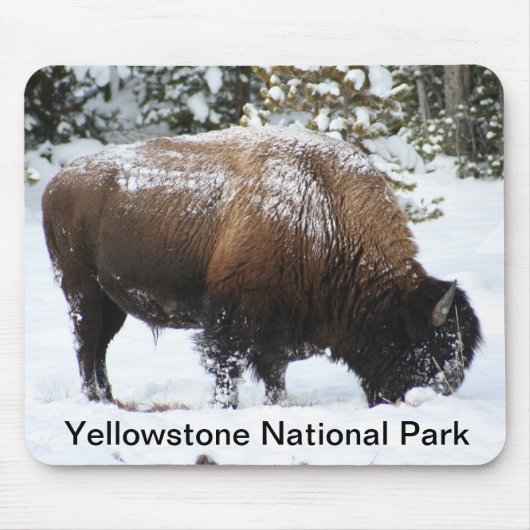 Yellowstone Bison in Winter Mousepad Muismat (Voorkant)