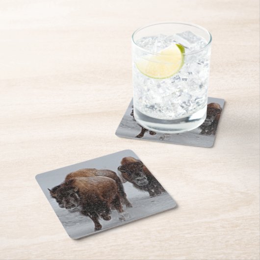 Yellowstone Bison Kartonnen Onderzetters (Insitu)