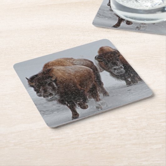 Yellowstone Bison Kartonnen Onderzetters (Schuin)