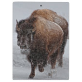 Yellowstone Bison Klembord (Achterkant)