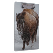 Yellowstone Bison Klembord (Rechts)