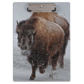 Yellowstone Bison Klembord (Voorkant)