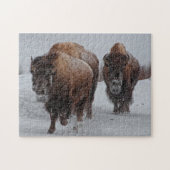 Yellowstone Bison Legpuzzel (Horizontaal)