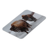 Yellowstone Bison Magneet (Linkerzijde)