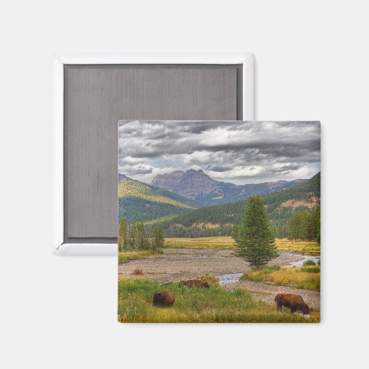 Yellowstone Bison Magneet (Voorkant / Achterkant)
